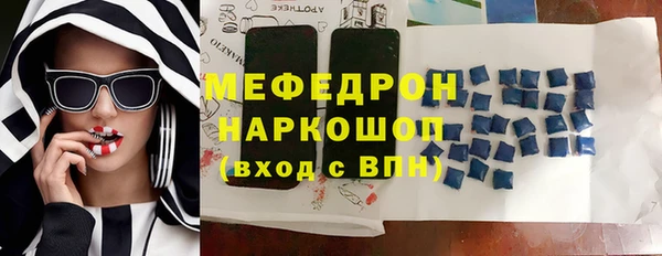 индика Протвино