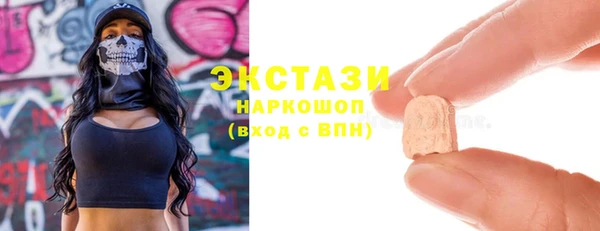 индика Протвино