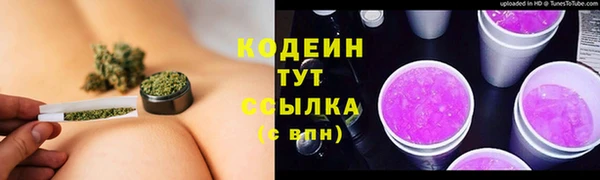 индика Протвино