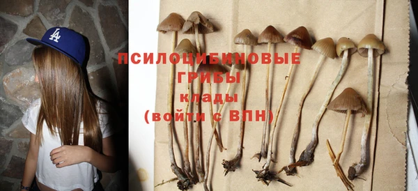 ПСИЛОЦИБИНОВЫЕ ГРИБЫ Пролетарск