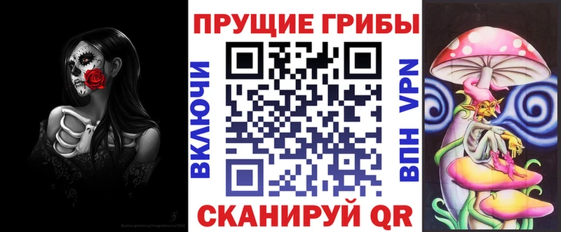 Псилоцибиновые грибы мухоморы  купить закладку  Баксан 